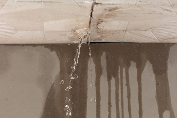 Professional Water Damage Repair technician working in Bowling Green, VA
